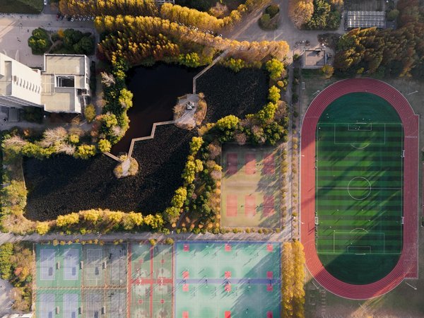 Coaching à colombes : le guide pour trouver l'accompagnement idéal