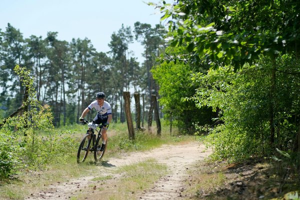 Pronostic quinté : les secrets pour parier gagnant aujourd'hui